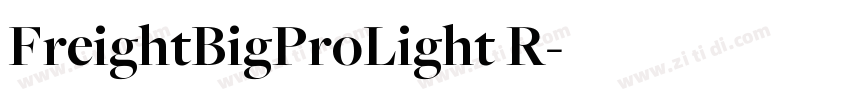 FreightBigProLight R字体转换